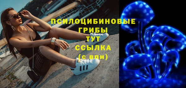 дживик Балахна
