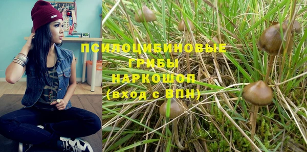 дживик Балахна