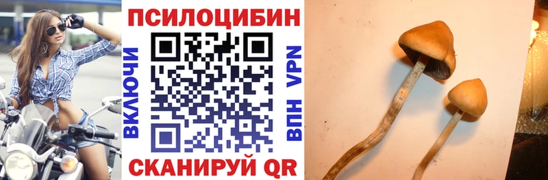 Псилоцибиновые грибы Magic Shrooms  Шатура 